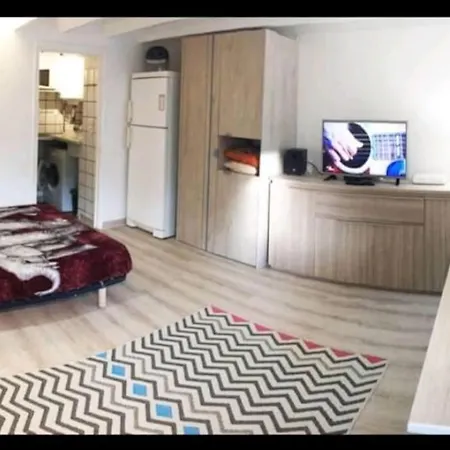 Appartement Les Palmiers - Cosy Proche Plages Et Centre Antibes
