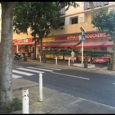 Les Palmiers - Cosy Proche Plages Et Centre Διαμέρισμα